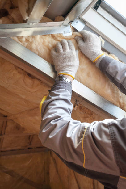 Best Residential Insulation in Kingsford, MI